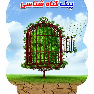 پیک گناه شناسی